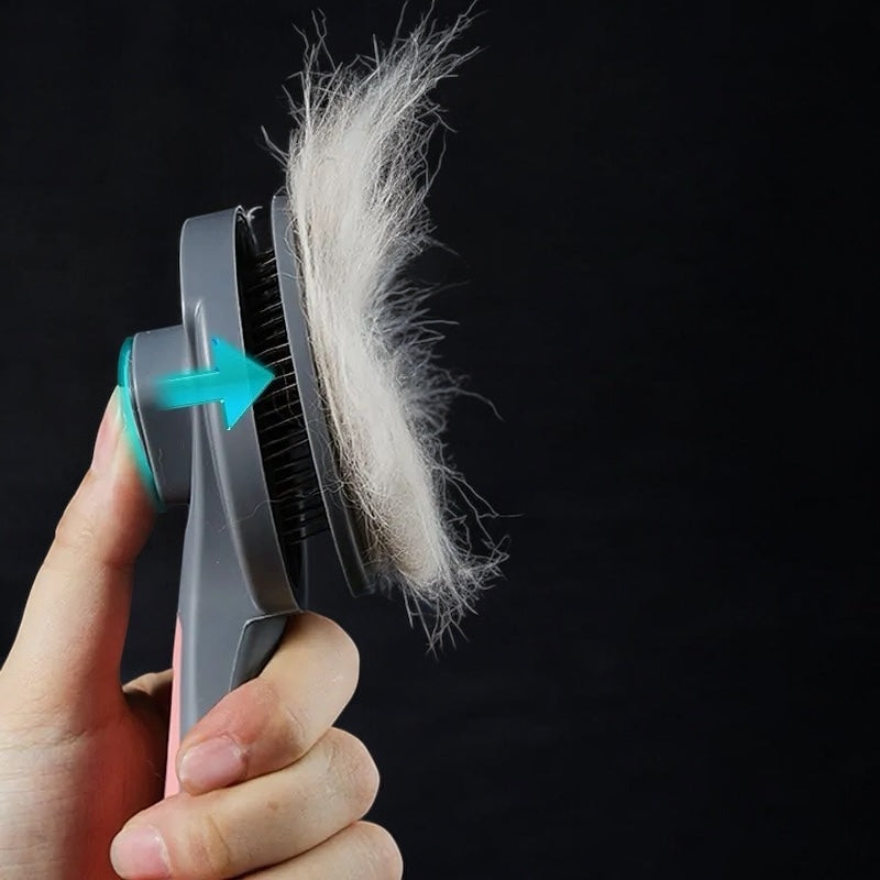 Brosse a Kitty