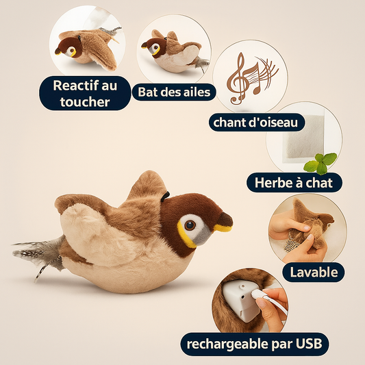 Piaf toys pour Chat – Stimulation & Instinct de Chasse