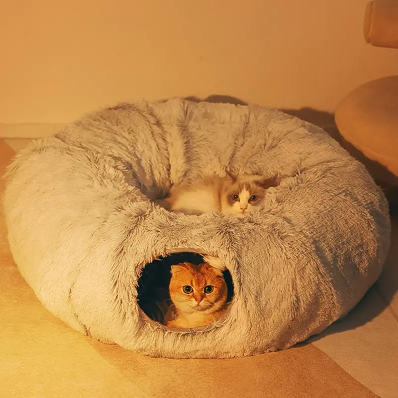 Le Nid a Kitty - Tunnel