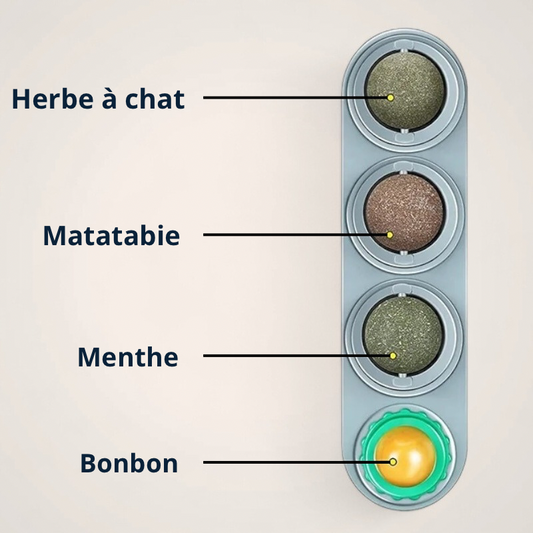 Plaisir Roll pour Chat – Plaisir & Relaxation