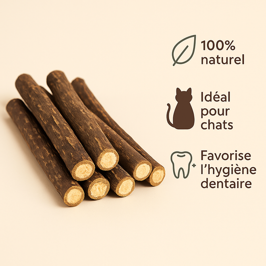Bâton de Matatabi pour Chat – Hygiène Dentaire & Relaxation