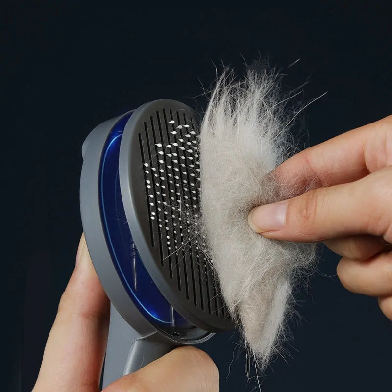 Brosse a Kitty