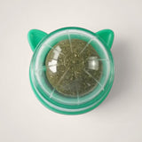 Herbe Roll pour Chat – Plaisir & Relaxation