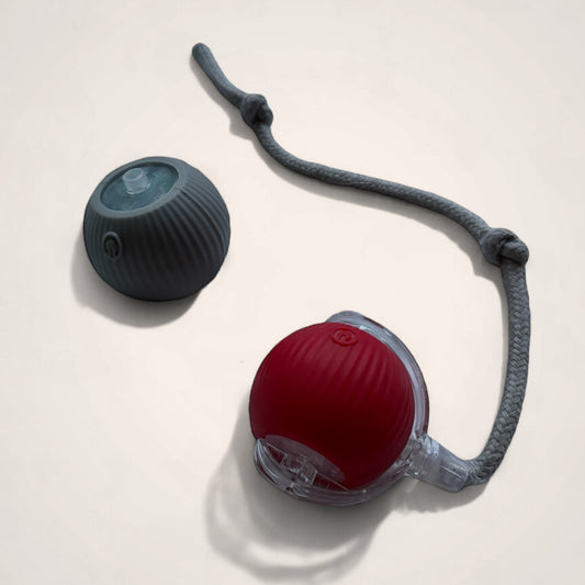 Smartball - Souris