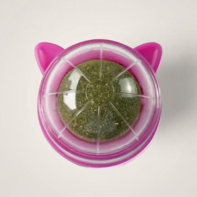Herbe Roll a Kitty