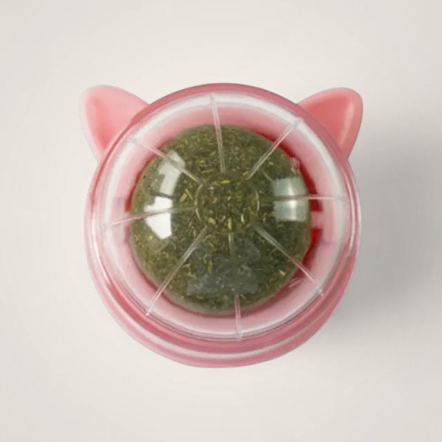 Herbe Roll a Kitty