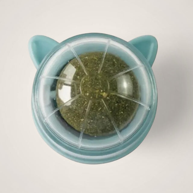 Herbe Roll a Kitty