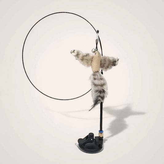 Canne à Piaf pour Chat – Jouet Interactif de Chasse